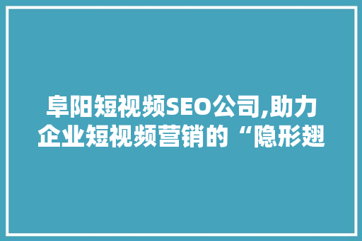 阜阳短视频SEO公司,助力企业短视频营销的“隐形翅膀”