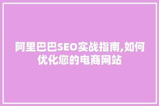 阿里巴巴SEO实战指南,如何优化您的电商网站