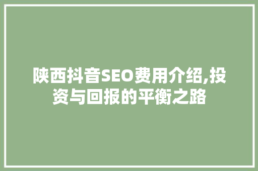 陕西抖音SEO费用介绍,投资与回报的平衡之路 搜狗SEO