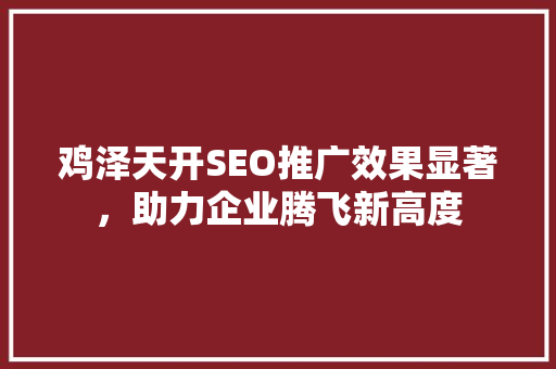 鸡泽天开SEO推广效果显著，助力企业腾飞新高度