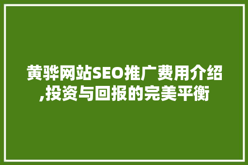黄骅网站SEO推广费用介绍,投资与回报的完美平衡