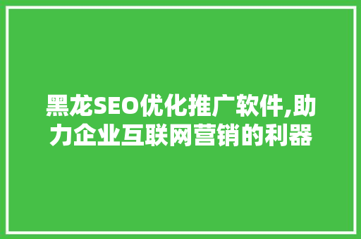 黑龙SEO优化推广软件,助力企业互联网营销的利器 神马SEO