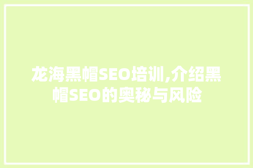 龙海黑帽SEO培训,介绍黑帽SEO的奥秘与风险 百度SEO