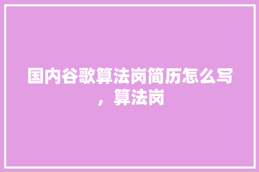 国内谷歌算法岗简历怎么写，算法岗 GoogleSEO