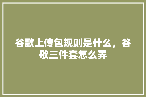 谷歌上传包规则是什么，谷歌三件套怎么弄