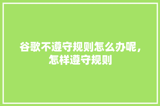 谷歌不遵守规则怎么办呢，怎样遵守规则 搜狗SEO