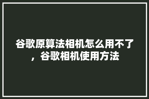 谷歌原算法相机怎么用不了，谷歌相机使用方法 GoogleSEO