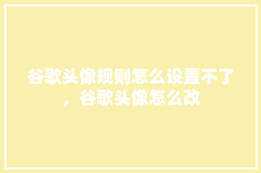 谷歌头像规则怎么设置不了，谷歌头像怎么改 神马SEO