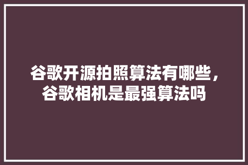 谷歌开源拍照算法有哪些，谷歌相机是最强算法吗 必应SEO