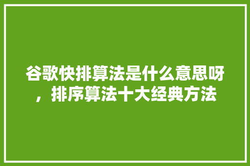 谷歌快排算法是什么意思呀，排序算法十大经典方法 百度SEO