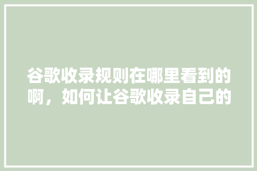 谷歌收录规则在哪里看到的啊，如何让谷歌收录自己的网站 GoogleSEO