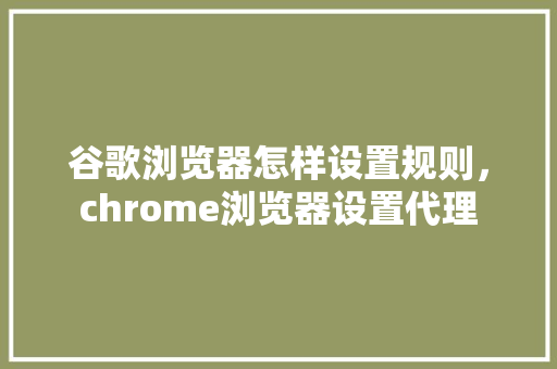 谷歌浏览器怎样设置规则，chrome浏览器设置代理 神马SEO