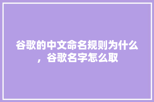 谷歌的中文命名规则为什么，谷歌名字怎么取