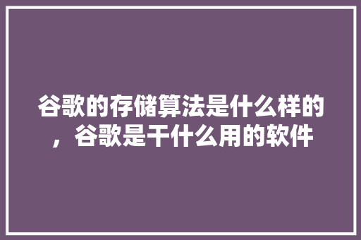 谷歌的存储算法是什么样的，谷歌是干什么用的软件