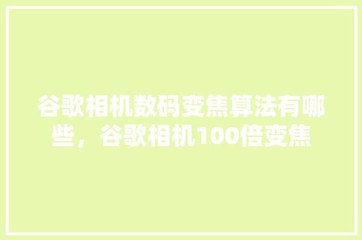 谷歌相机数码变焦算法有哪些，谷歌相机100倍变焦 百度SEO
