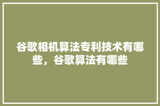 谷歌相机算法专利技术有哪些，谷歌算法有哪些 搜狗SEO