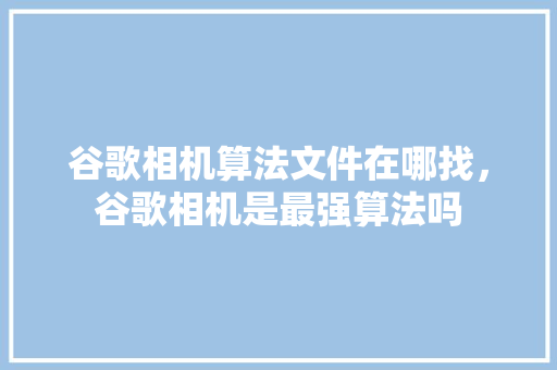 谷歌相机算法文件在哪找，谷歌相机是最强算法吗 百度SEO