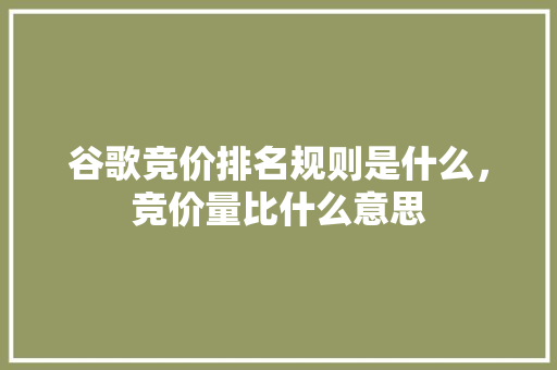 谷歌竞价排名规则是什么，竞价量比什么意思