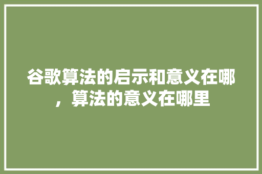 谷歌算法的启示和意义在哪，算法的意义在哪里 百度SEO