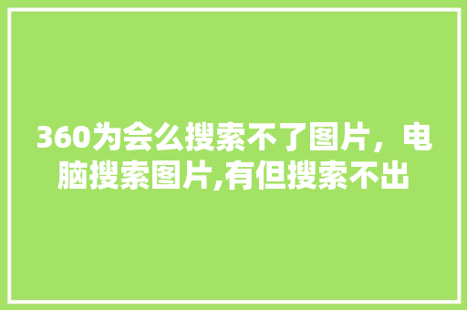 360为会么搜索不了图片，电脑搜索图片,有但搜索不出来