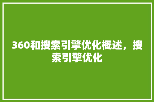 360和搜索引擎优化概述，搜索引擎优化