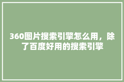 360图片搜索引擎怎么用，除了百度好用的搜索引擎