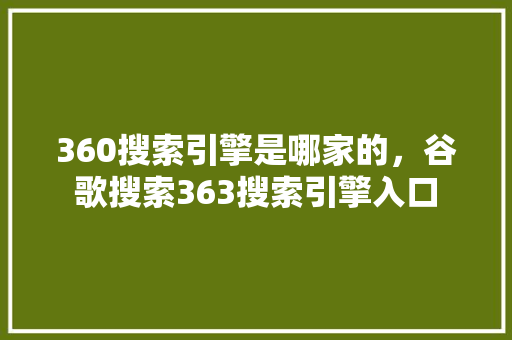 360搜索引擎是哪家的，谷歌搜索363搜索引擎入口
