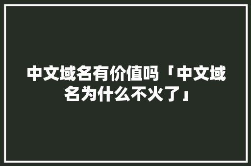 中文域名有价值吗「中文域名为什么不火了」 中文域名有价值吗「中文域名为什么不火了」 必应SEO
