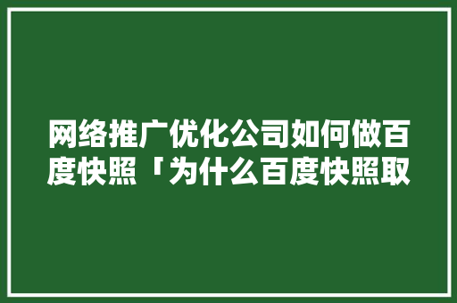 网络推广优化公司如何做百度快照「为什么百度快照取消了」 网络推广优化公司如何做百度快照「为什么百度快照取消了」 必应SEO