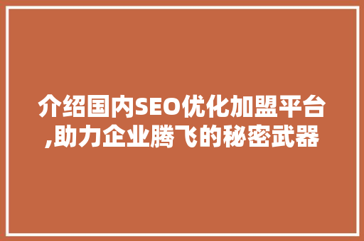 介绍国内SEO优化加盟平台,助力企业腾飞的秘密武器 百度SEO
