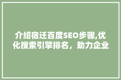 介绍宿迁百度SEO步骤,优化搜索引擎排名，助力企业腾飞