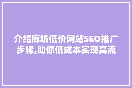 介绍廊坊低价网站SEO推广步骤,助你低成本实现高流量