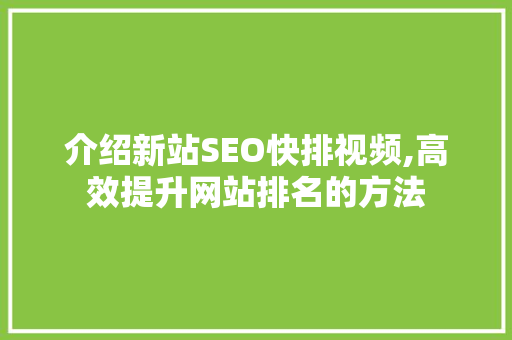 介绍新站SEO快排视频,高效提升网站排名的方法 搜狗SEO