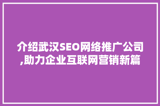 介绍武汉SEO网络推广公司,助力企业互联网营销新篇章