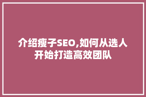 介绍瘦子SEO,如何从选人开始打造高效团队 搜狗SEO