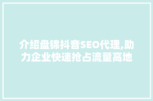 介绍盘锦抖音SEO代理,助力企业快速抢占流量高地 百度SEO