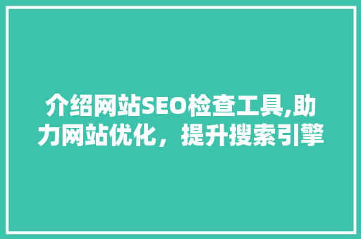 介绍网站SEO检查工具,助力网站优化，提升搜索引擎排名 搜狗SEO