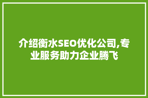 介绍衡水SEO优化公司,专业服务助力企业腾飞