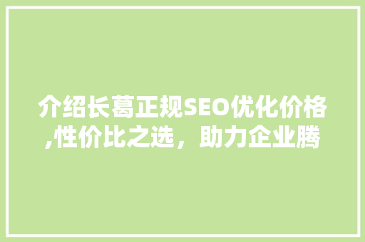 介绍长葛正规SEO优化价格,性价比之选，助力企业腾飞 必应SEO