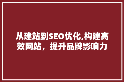 从建站到SEO优化,构建高效网站，提升品牌影响力