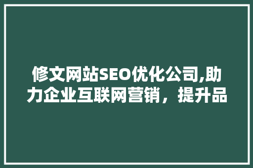 修文网站SEO优化公司,助力企业互联网营销，提升品牌影响力