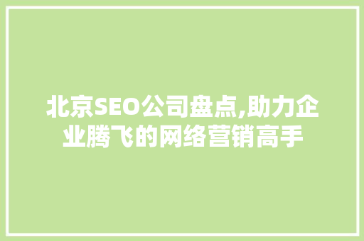 北京SEO公司盘点,助力企业腾飞的网络营销高手 GoogleSEO