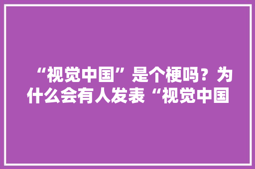 “视觉中国”是个梗吗？为什么会有人发表“视觉中国同意了吗”等评论「为什么要做视觉训练」