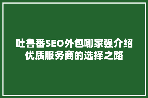 吐鲁番SEO外包哪家强介绍优质服务商的选择之路 百度SEO