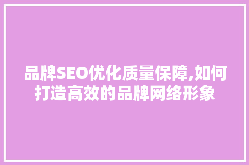 品牌SEO优化质量保障,如何打造高效的品牌网络形象
