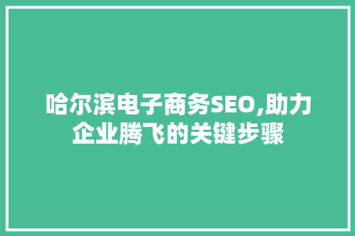 哈尔滨电子商务SEO,助力企业腾飞的关键步骤 GoogleSEO