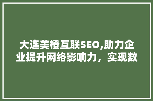 大连美橙互联SEO,助力企业提升网络影响力，实现数字化转型