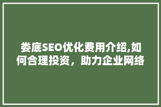 娄底SEO优化费用介绍,如何合理投资，助力企业网络营销