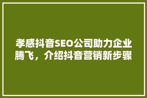 孝感抖音SEO公司助力企业腾飞，介绍抖音营销新步骤 神马SEO