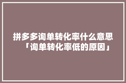 拼多多询单转化率什么意思「询单转化率低的原因」